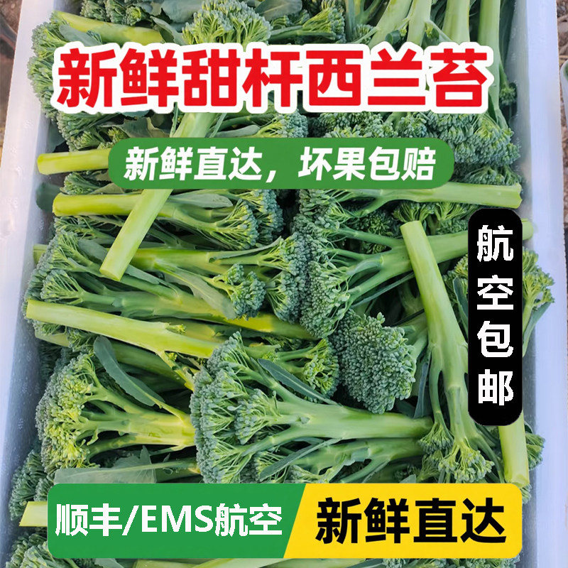宁夏甜杆西兰苔新鲜西兰花菜苔