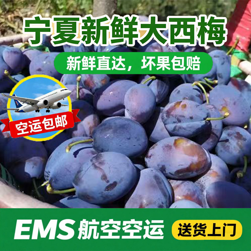 宁夏新鲜脆甜大西梅当季新鲜水果