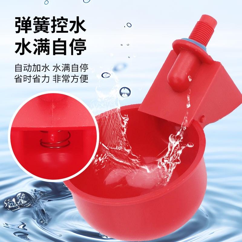 鸡用自动饮水器家禽饮水碗鸽子鹌鹑芦丁鸡小雏P鸡喝水碗鸡水壶水