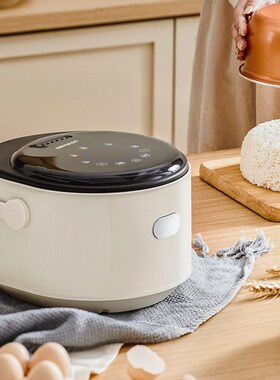 JOJO L. D.Zon.小型智能上蒸下煮米汤分类  古味