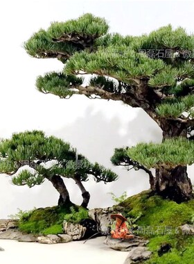 精品树脂古人物渔翁奇石山水盆景假山沙盘枯山水微景造景装饰