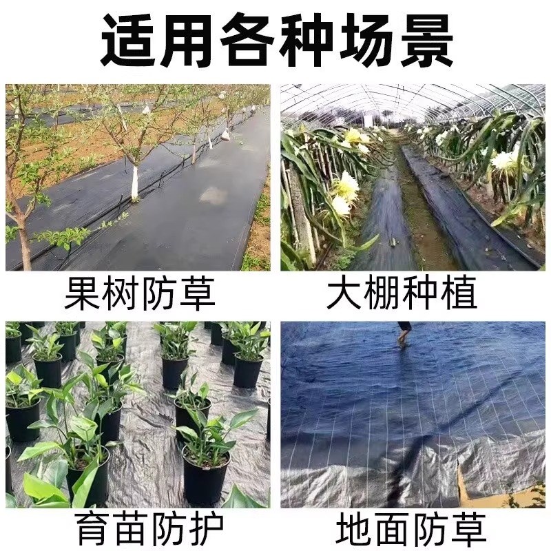 防草布农用除草防草布果园耐用抗老化遮草地布黑地膜透气渗水地钉