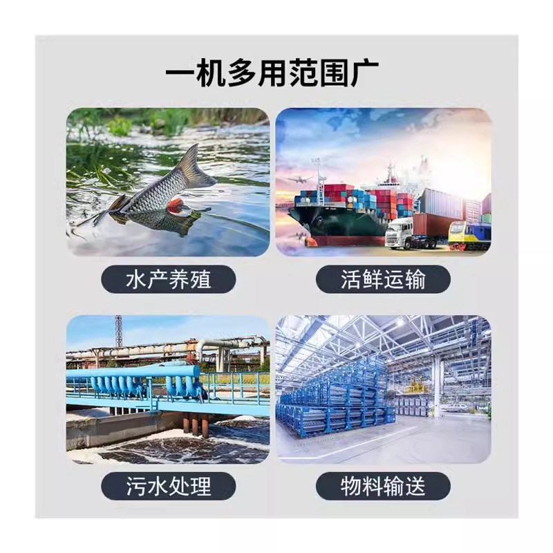 正林L罗茨风机鱼塘增氧泵活鲜运输水产养殖污水处理高压曝气机