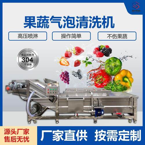 大型果蔬气泡清洗机草莓葡萄蓝莓清洗机黄精人参葛根鼓泡清洗机