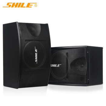 10英寸卡包音响 狮乐BX-103家庭ktv音箱 专业会议室木质音响一对