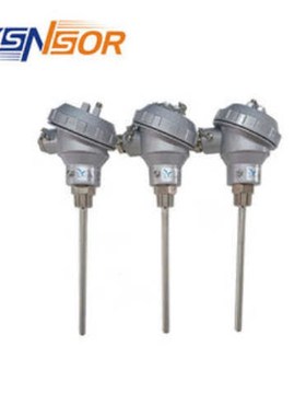 ZYSENSOR热电阻 R1-1-B-KNC-8-150-1/2-304/RTD01长管径可