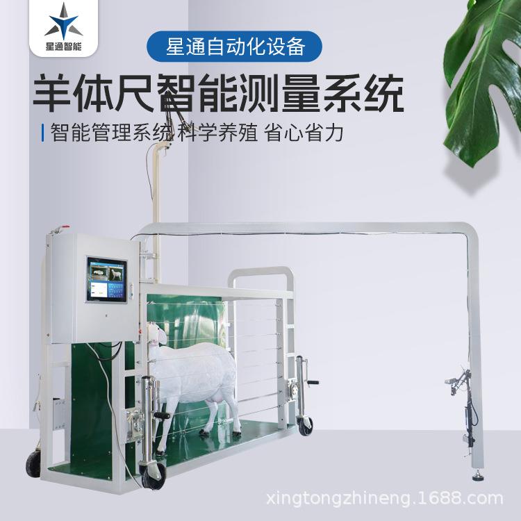 羊只体尺自动测量设备高效无接触高精度自动记录上传云端智慧牧场