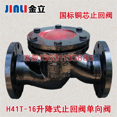 H41T-16升降式止回阀 法兰逆止阀单向阀DN25 40 50 65 80 100 150
