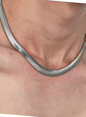 冷淡风钛钢蛇骨锁骨项链不掉色