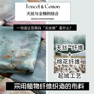 面料超柔软艾阳棉缇芙绒绒耀 2.5米宽天丝棉磨毛布料高档床品四季