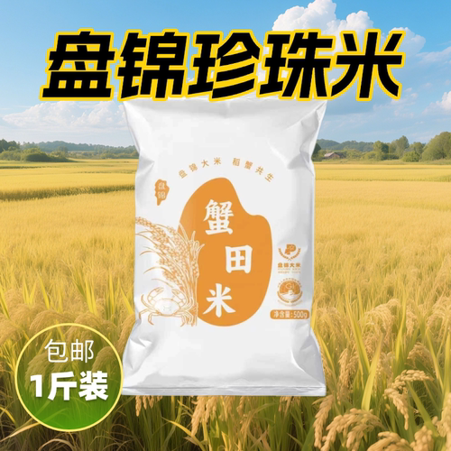 盘泽园大米500g袋装盘锦蟹田米一斤装东北大米1斤当季新米