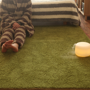n亲肤恒温卧室短毛绒地垫地毯爬行垫 海德公园草坪