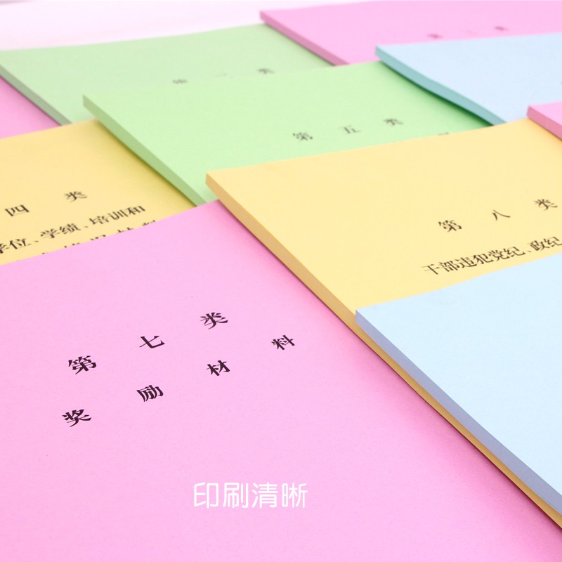 10个装 新版干部人事档案分类纸 彩色十大类分类纸 隔页纸全彩干