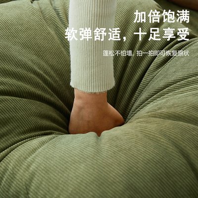 布艺沙发客厅2023新款人类版狗窝小户型沙发床两用单人沙发可拆洗