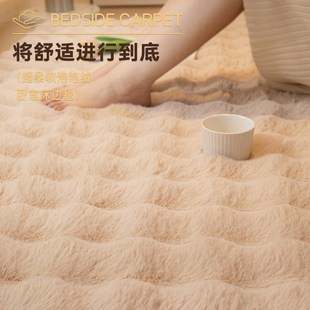 长毛绒地毯卧室床边毯秋冬季加厚女孩房间床前床尾床下地垫定制