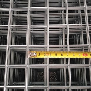 鸽子鸽棚网防护网镀锌网片铁丝网格片养鸡网栏碰网方孔网加粗