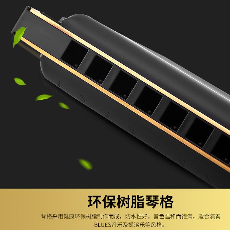 和来ON十孔布鲁斯口琴O 蓝调孔演奏琴升级款,乐器/吉他/钢琴/配件,口琴,淘宝优惠券,粉丝福利购,淘宝优惠卷