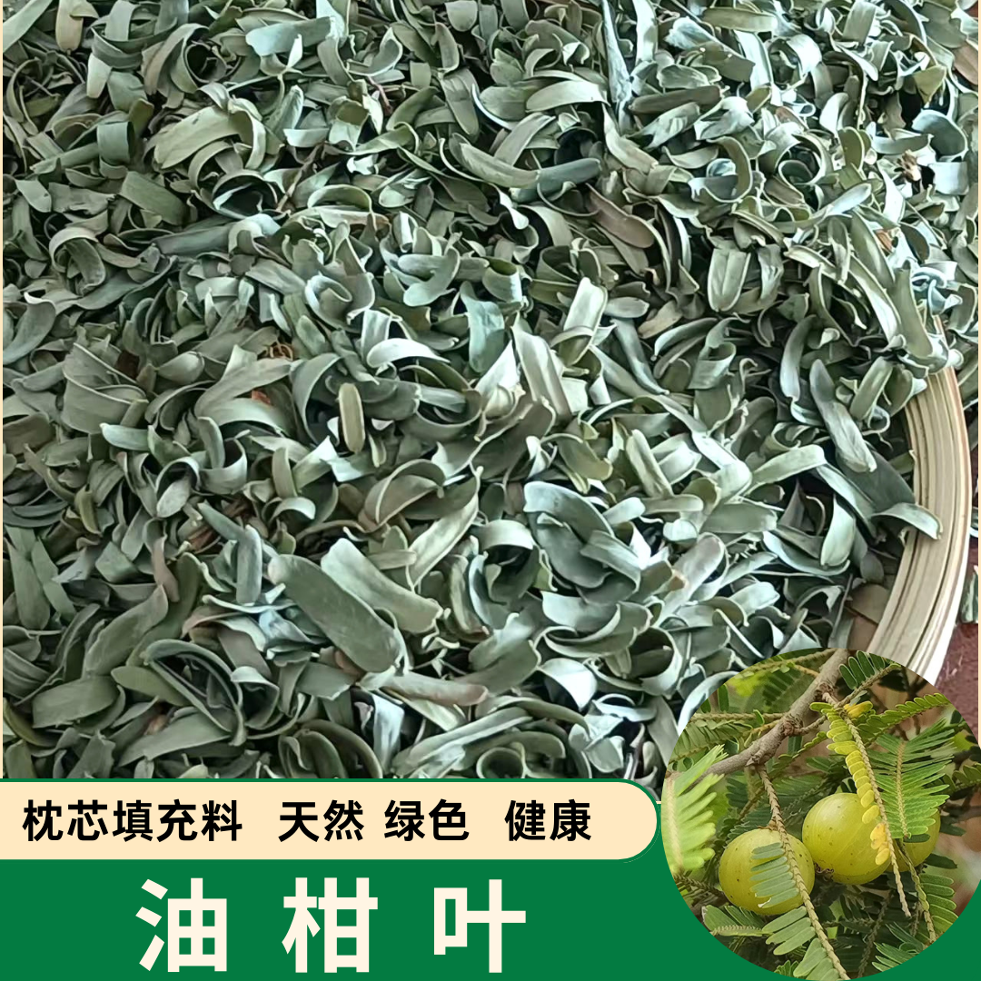 新鲜散装油柑叶清香牛甘叶余甘子叶单人儿童枕头透气颈椎枕芯