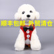 小狗链狗狗牵引绳猫胸背带遛狗链子小型犬中型狗绳子泰迪宠物用品