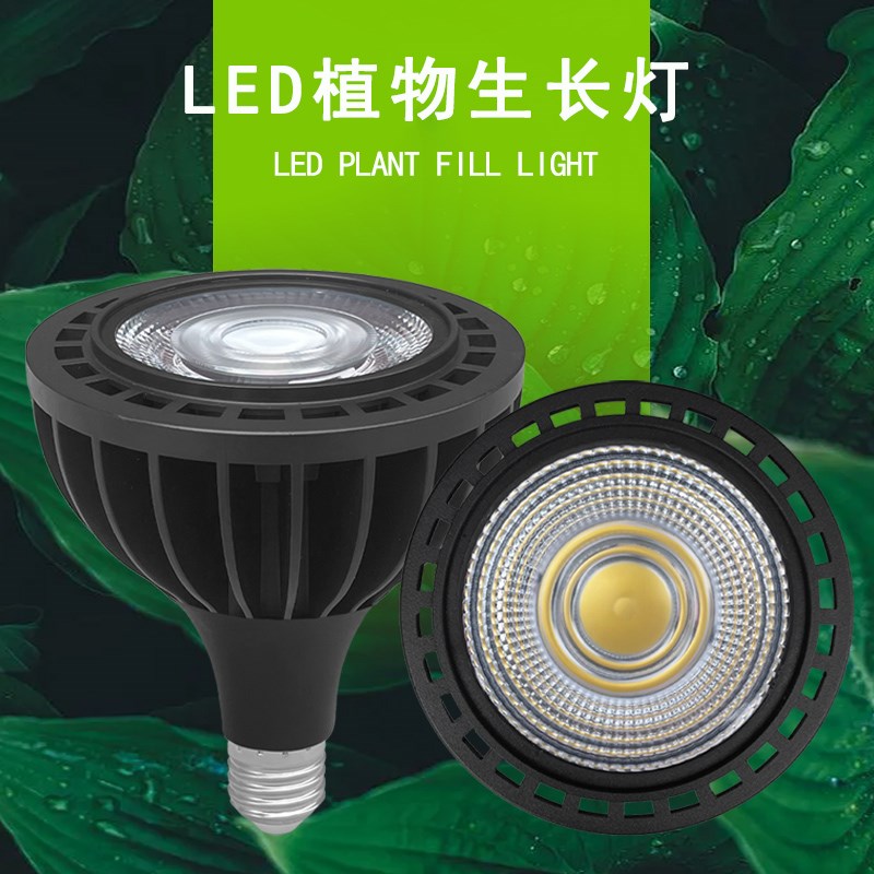 植物专用补光灯植物灯泡筒灯造景支架生长射灯全光谱室内阳台太阳