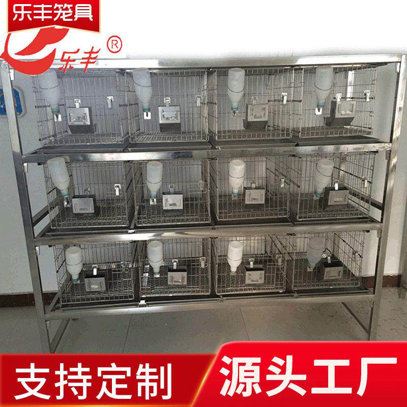 乐丰养殖设备干养式不锈钢实验兔笼连体自动化三层兔笼繁育笼