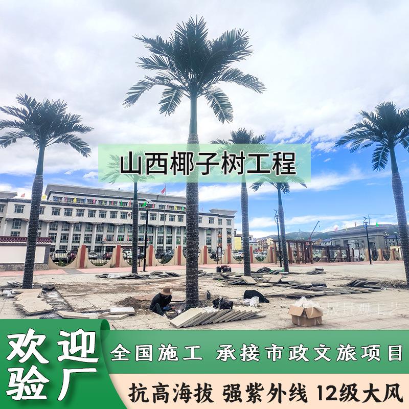 山西仿真椰子树承接大型市政工程广场绿化造景全国上门施工海枣树
