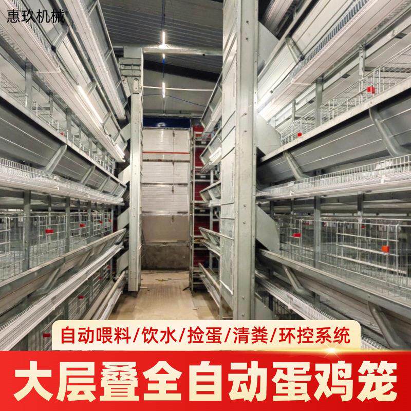 大层叠全自动蛋鸡笼设备立式H型多层清粪鸽子笼鹌鹑养殖笼厂家