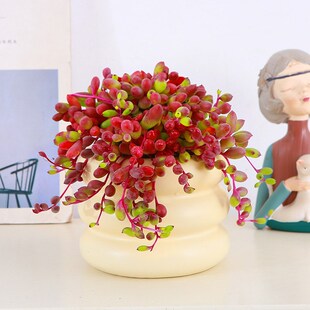 紫玄月吊兰多肉紫葡萄新手易养垂吊型盆栽办公室内桌摆多肉小盆景