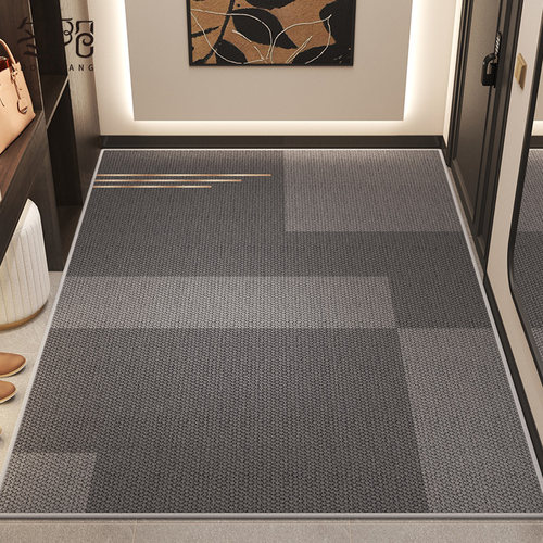 入户门垫进门地垫家用大门口耐脏玄关脚垫门外防滑除尘可裁剪地毯
