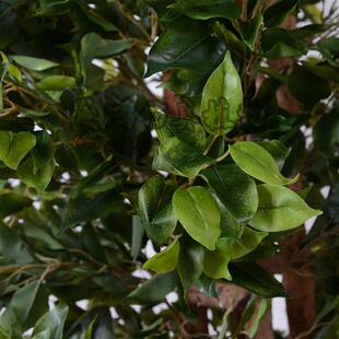 仿真榕树叶绿色植物室内外假榕树造景人造树仿真树厂家榕树盆景