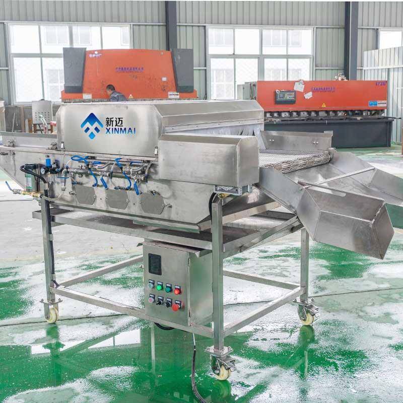 扇贝生蚝挂冰机贻贝包冰机速冻食品成型机鱼豆腐肉丸包冰衣机