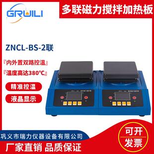 6联实验室智能控温加热板 多联磁力搅拌加热板ZNCL 2联 4联
