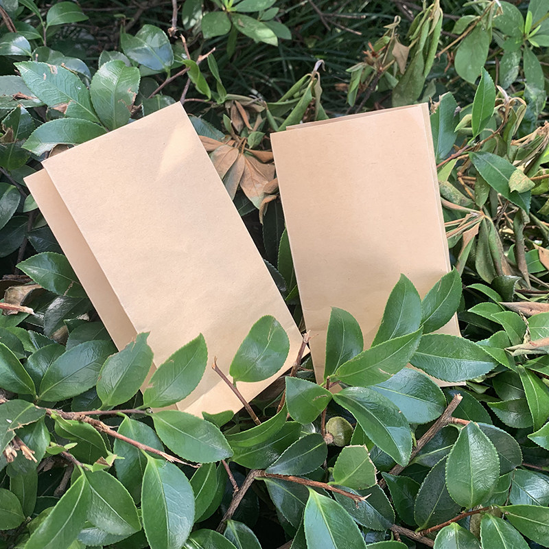 加厚育种种黄牛皮立体种子玉科研试验