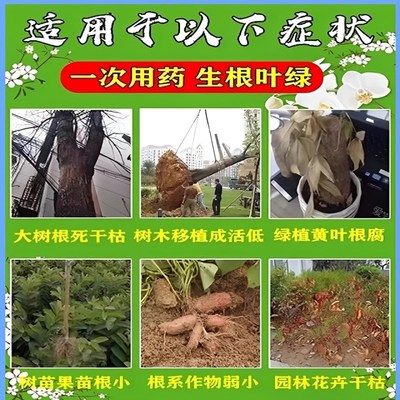 生根药水复活液枯树再生液猛生根原液粉多灵菌营养果树植物复活
