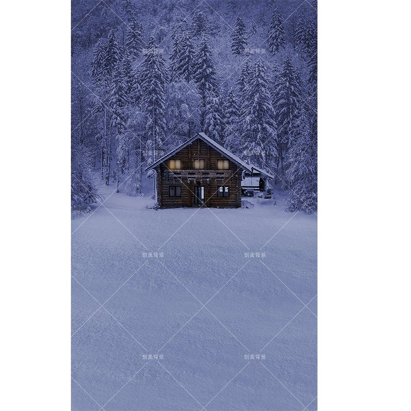 影楼冬天雪景拍照氛围感背景布少女小木屋雪地森林拍照背景道纸,3C数码配件,背景布类,淘宝优惠券,粉丝福利购,淘宝优惠卷