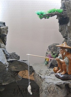 山水盆景茶宠鱼缸造景姜太公钓鱼蹲翁渔夫