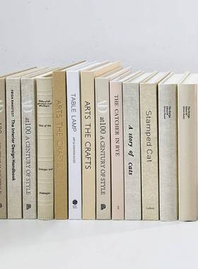 现代简约米白色装饰真书样板间样品屋展示中心客厅书柜饰品彷真书