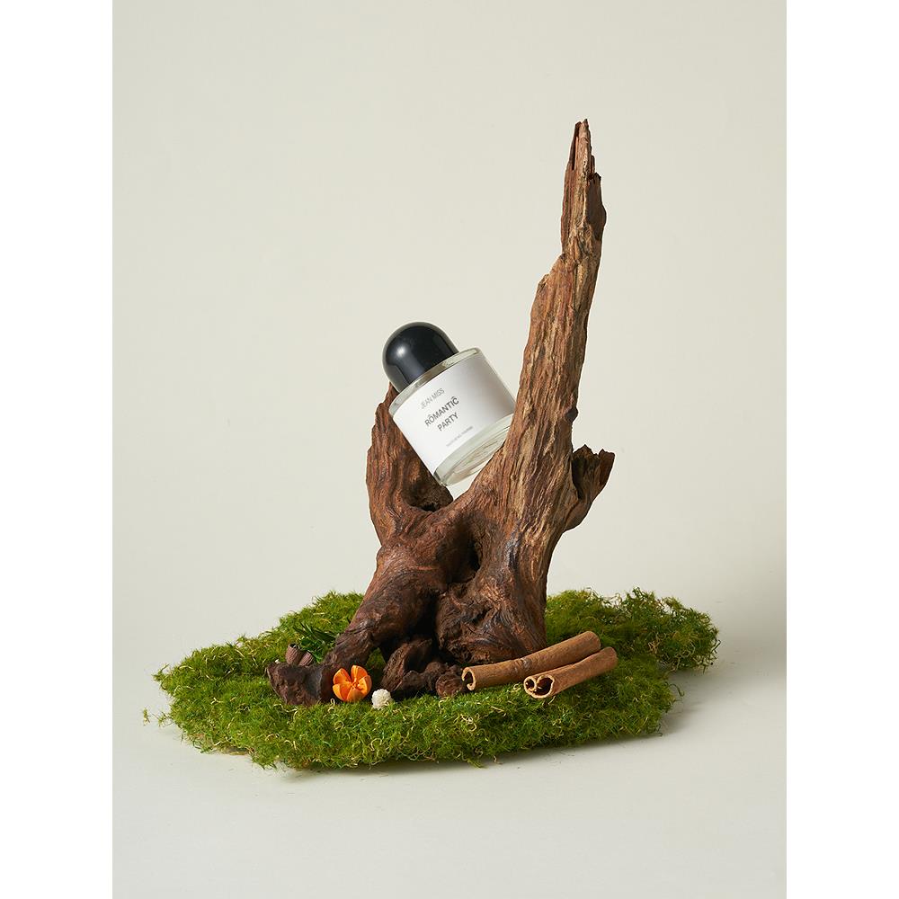 天然沉木造景 枯木拍照道具树枝木头装饰ins静物摄影陈列摆件干花