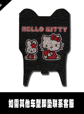 适用于绿源绿源小叶龟ZCF电动车脚垫 TDT2062Z丝圈脚踏垫 座套