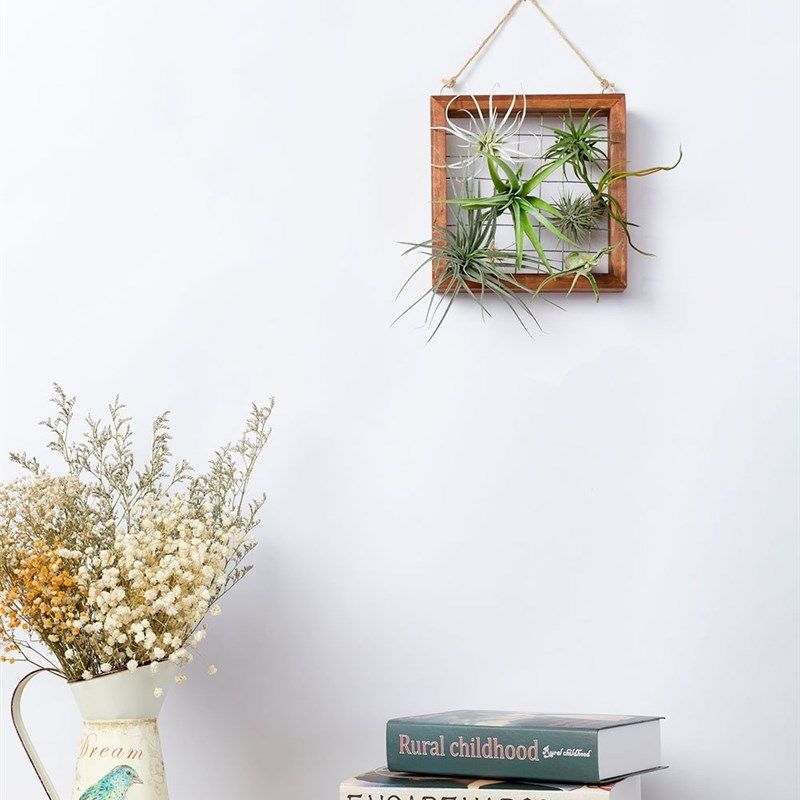 空气凤梨相框壁挂花架花盆花托植物墙装饰画园艺创意礼品,鲜花速递/花卉仿真/绿植园艺,花盆,淘宝优惠券,粉丝福利购,淘宝优惠卷