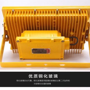 LED防爆灯50W100W车间仓库煤棚照明灯150W加油站泛光灯投光灯200W