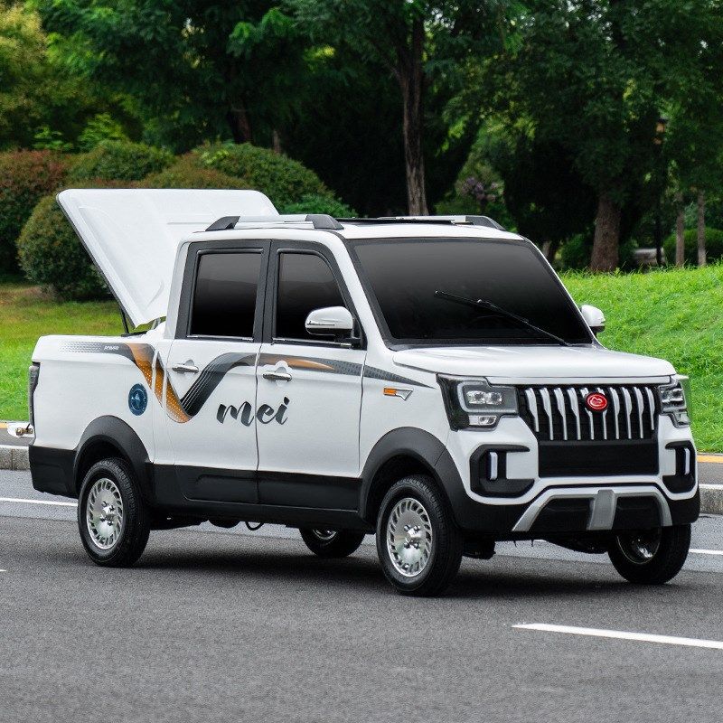 新能源电动四轮皮卡车全封闭货箱双排客货油电两用货车老头乐汽车