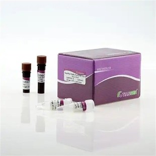 天根DNA提取检测试剂盒天根DNA产物纯化试剂盒实验室用化学试剂盒