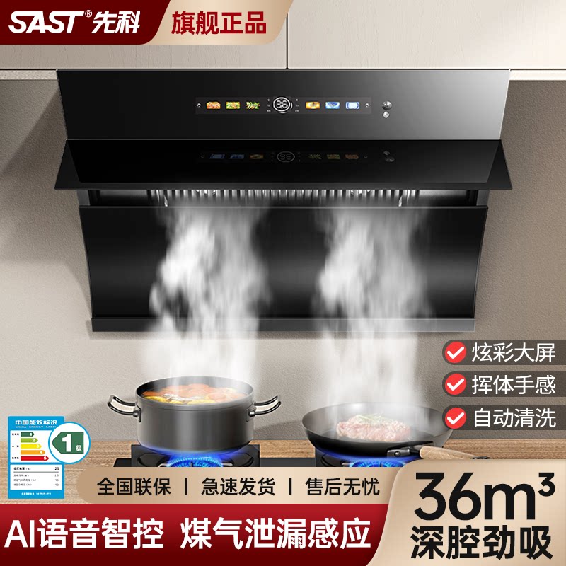 SAST/先科油烟机家用双电