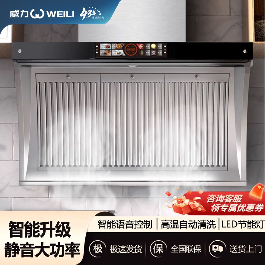 正品威力家用厨房双电机