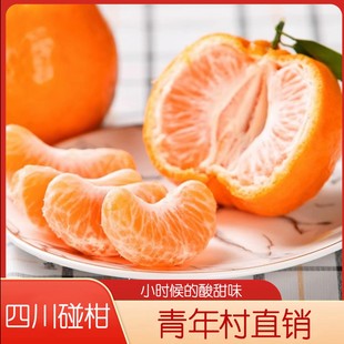 【下单立减30】正宗四川高山碰柑芦柑碰柑新鲜水果现摘高山橘子
