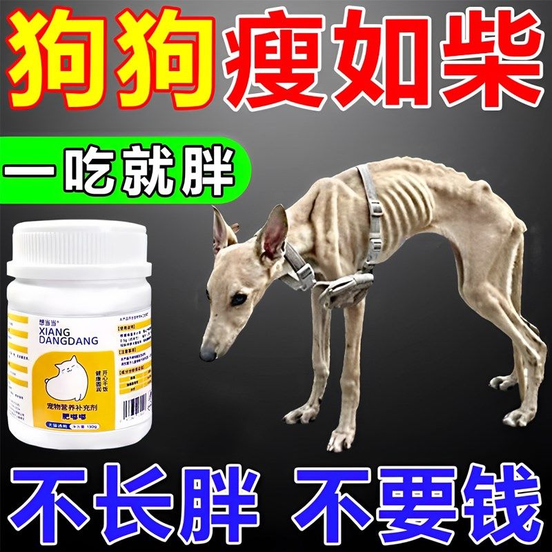 狗狗增肥长肉补充营养剂快速长胖猫咪不爱吃饭挑食发腮开胃增食欲