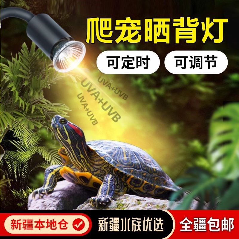 定时调节乌龟晒背灯uvb灯加热灯乌龟灯uva爬宠灯陶瓷全光谱太阳灯,宠物/宠物食品及用品,爬宠灯具,淘宝优惠券,粉丝福利购,淘宝优惠卷
