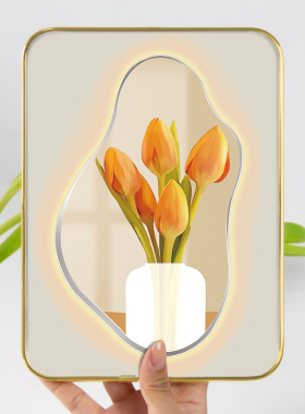 小清新艺术装饰摆件高级感小众花朵花卉桌面玄关床头柜画卧室摆台