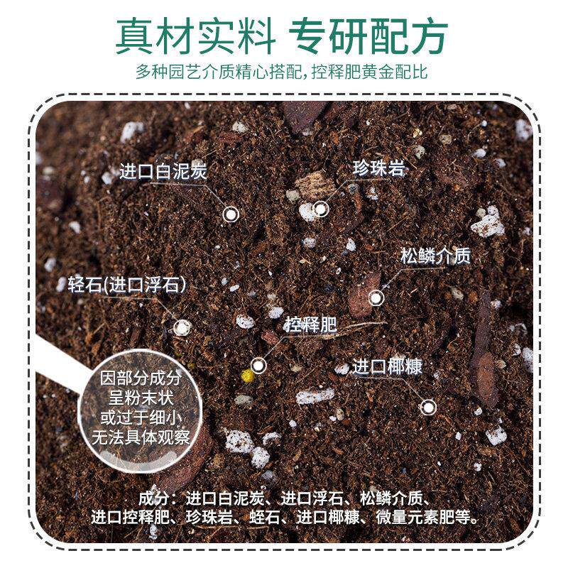 虹越花彩师型种花RFA菜专种的营养土疏松用透气通用介质盆栽植物